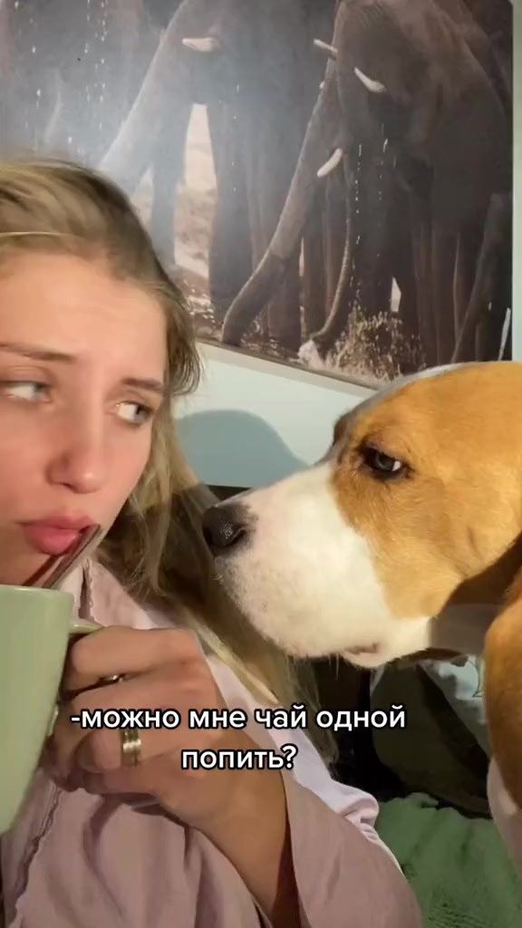 @Lyuba.va