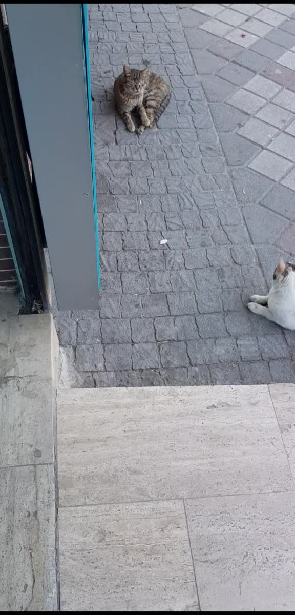 @Gizem G&uuml;l
