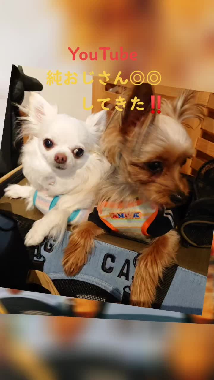 @@Jun__ojisan