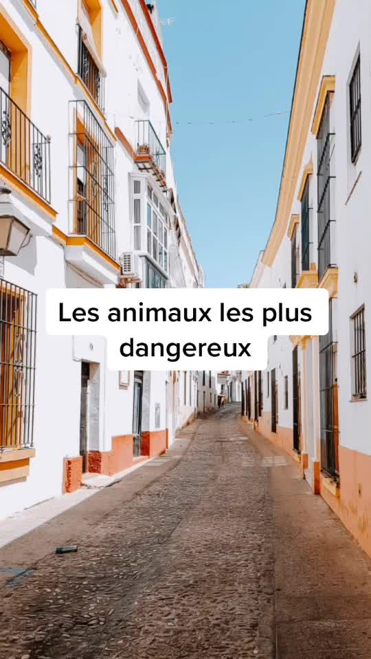 @&bull;zaperlipopette&bull;