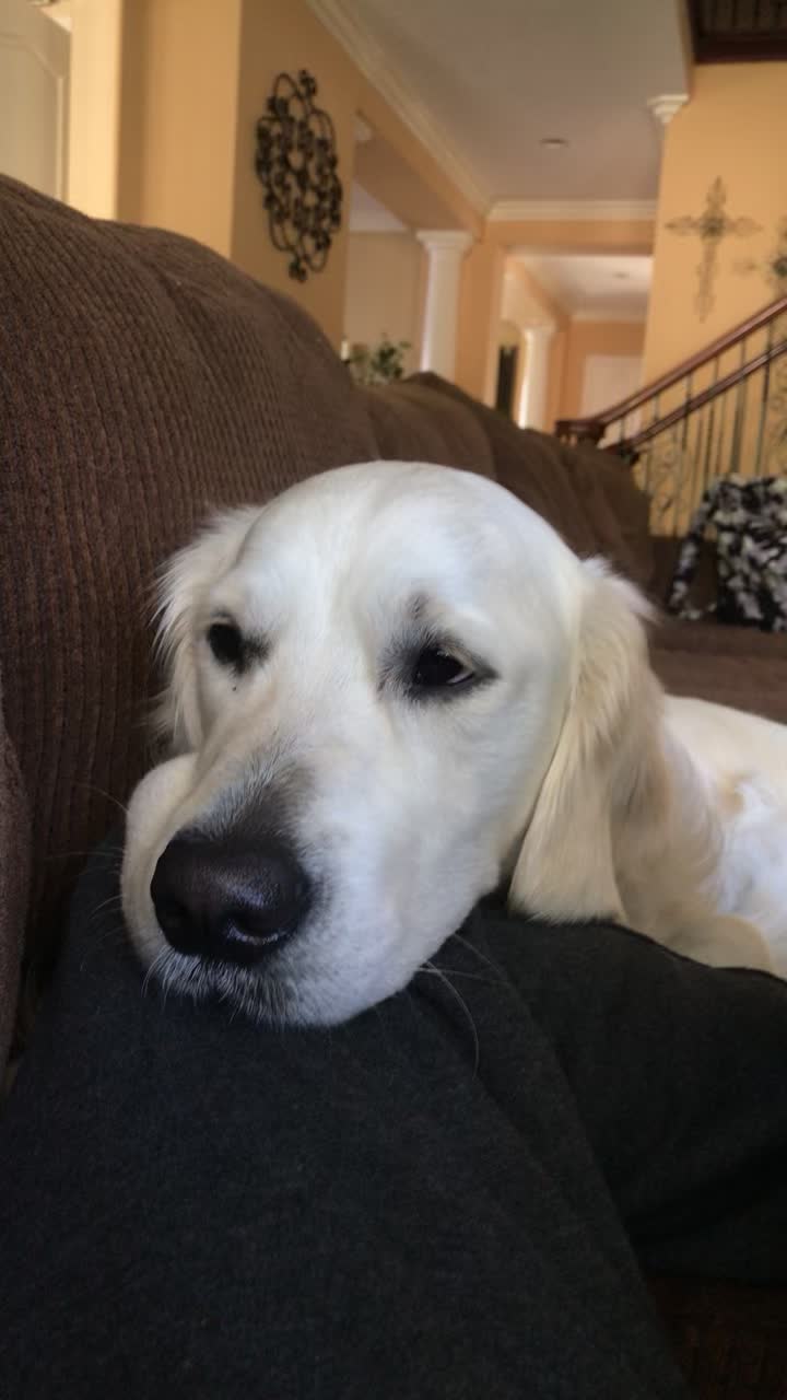 @pierredawg