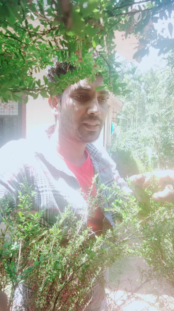 @Shameer Halloos