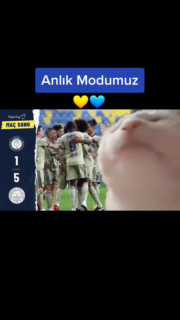 @FENERBAHÇE AŞİRETİ 💛💙