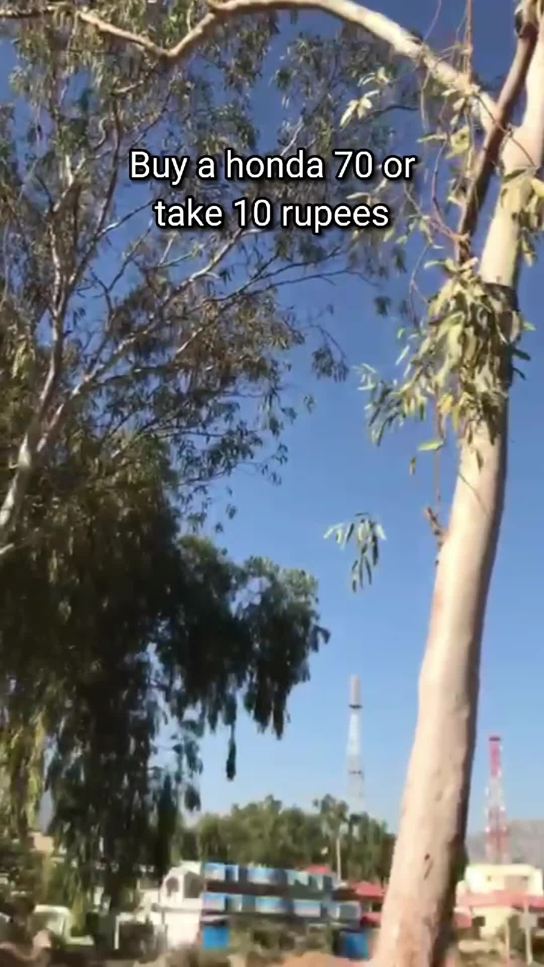 @125ZILLA