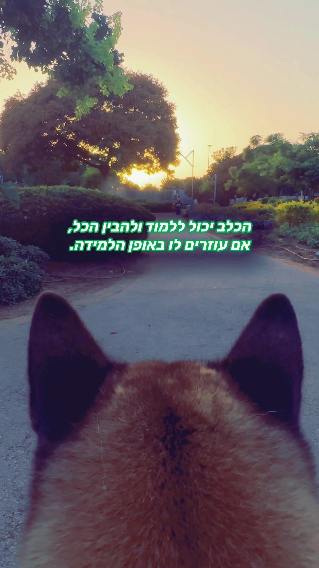 @Orel.Itzhaki ♓️🇮🇱