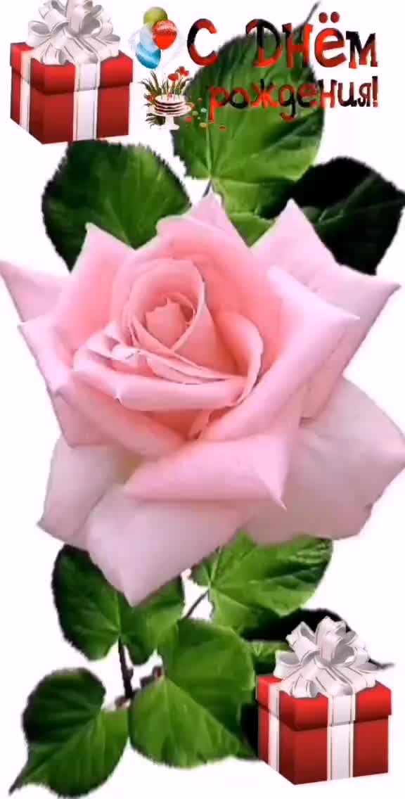 @@natali_035