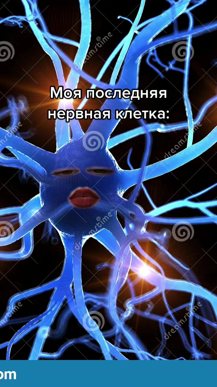 @Ярослава Артемьева