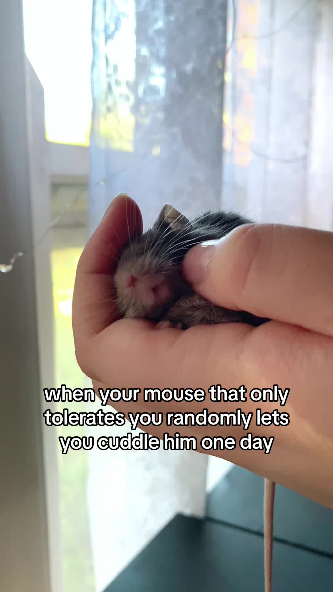 @ThatMouseGirl♡