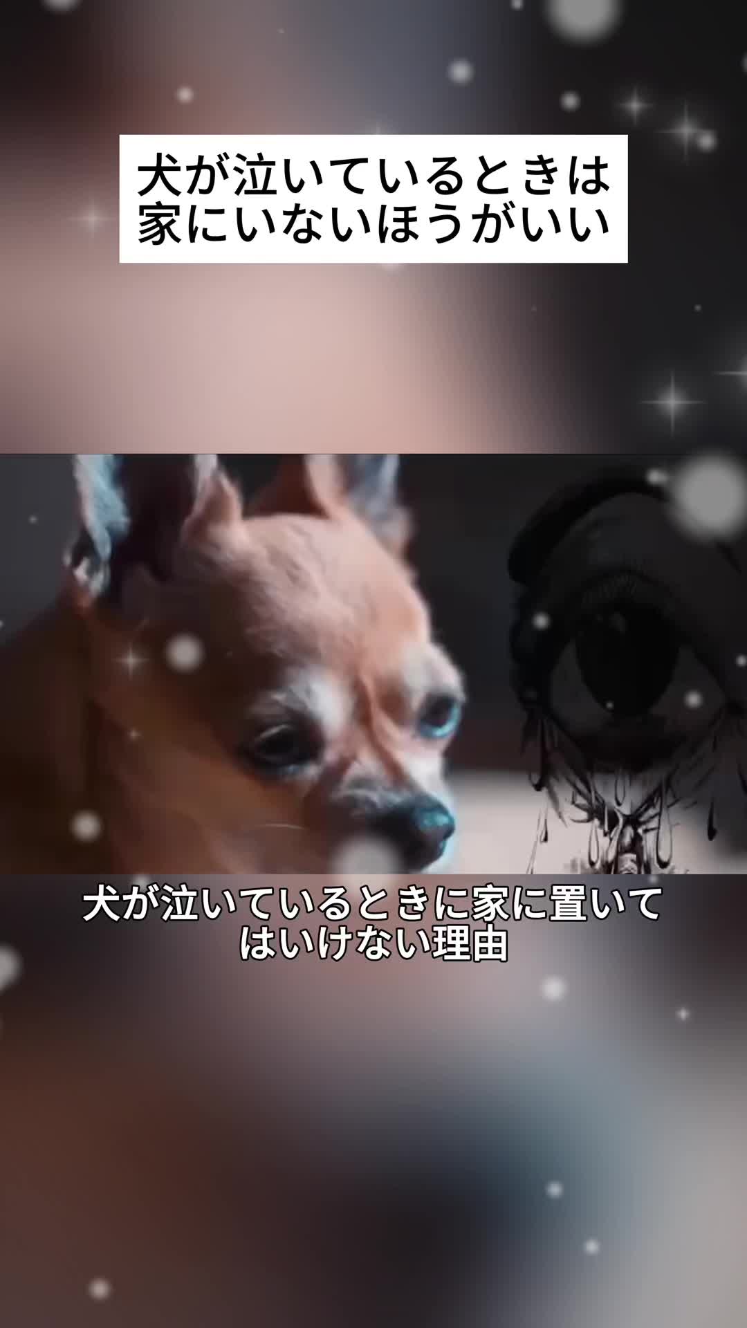@Ariana