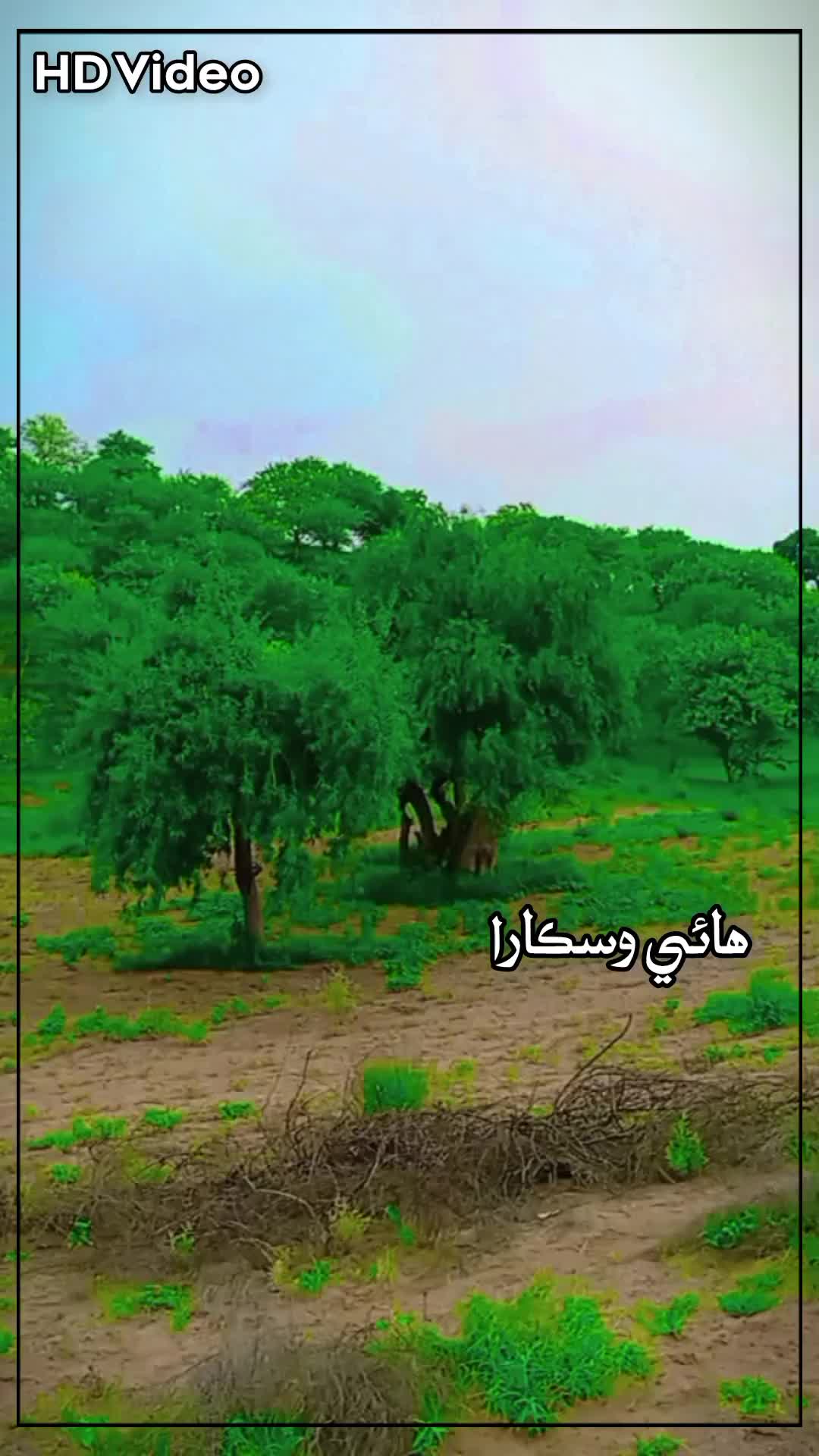 @منھنجو ملڪ ملير