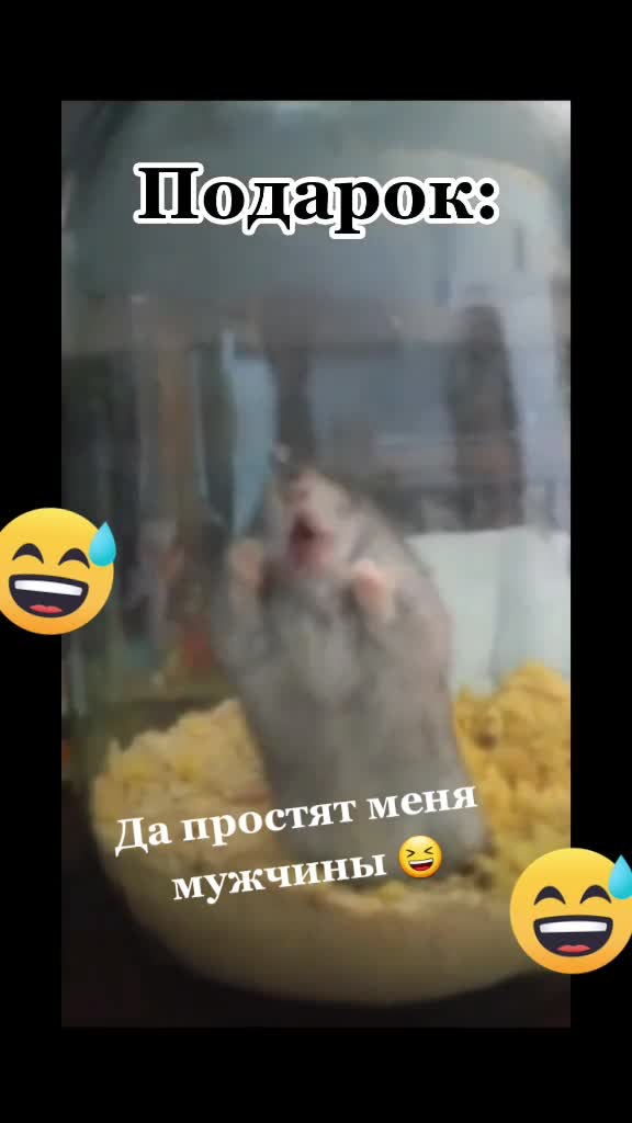 @user877713375630