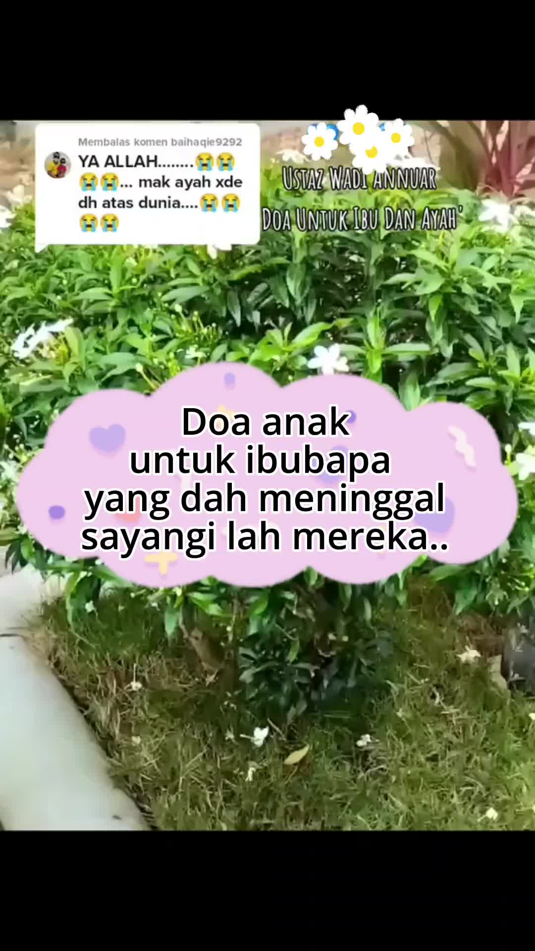 @qasehorkid
