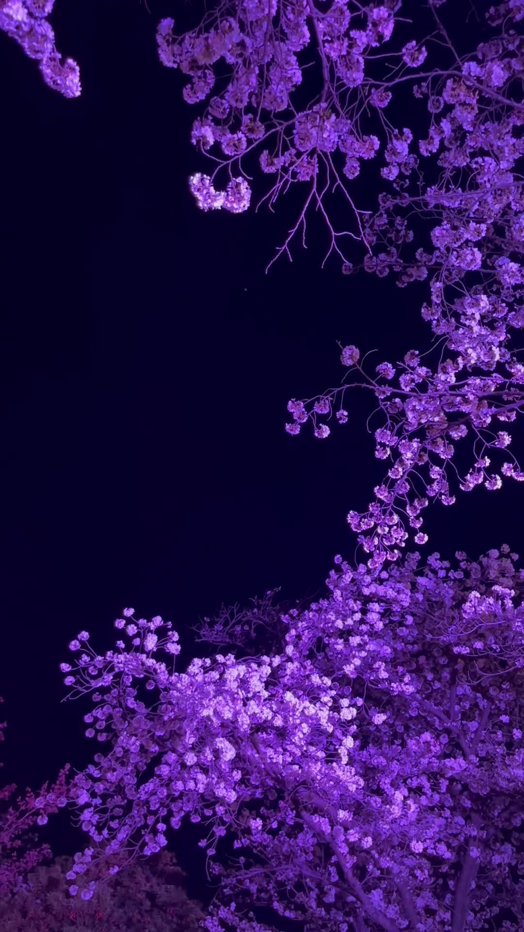 @フォロバ