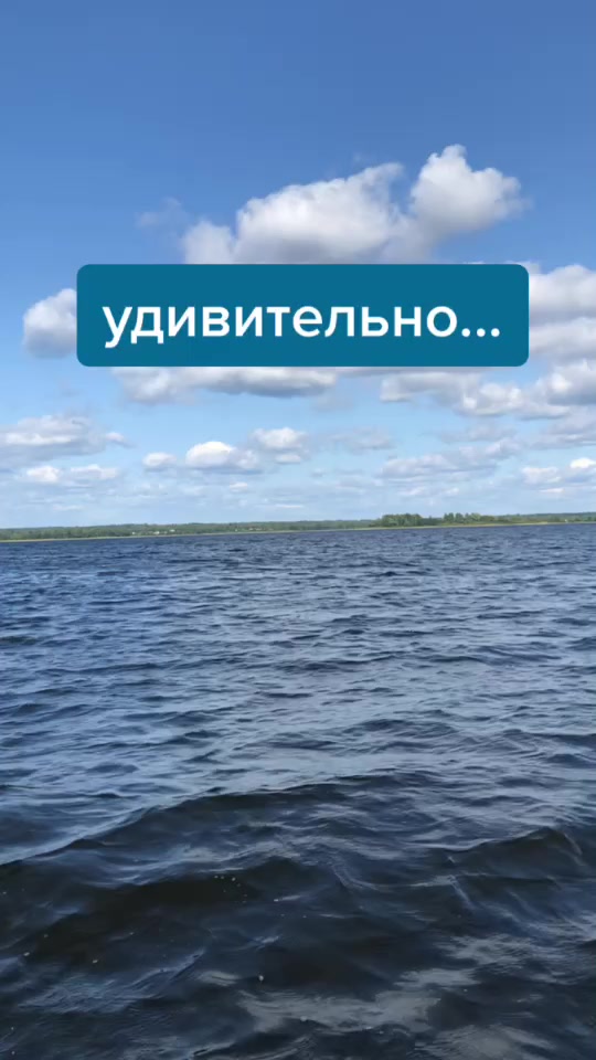@та самая кимм 🐙