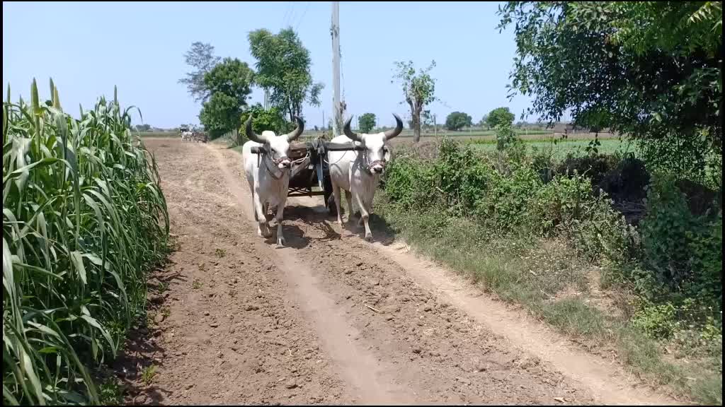 @Hardik8920