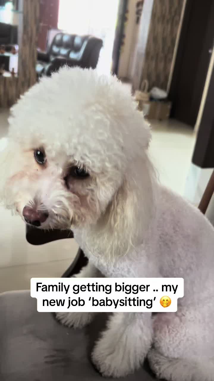 @Angel