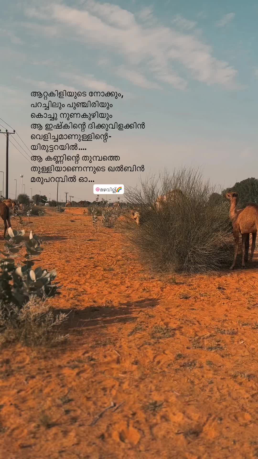 @മഴവില്ല്🌈