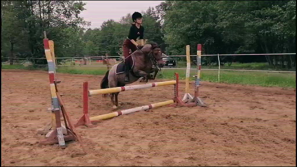@Końska Grupa🐎