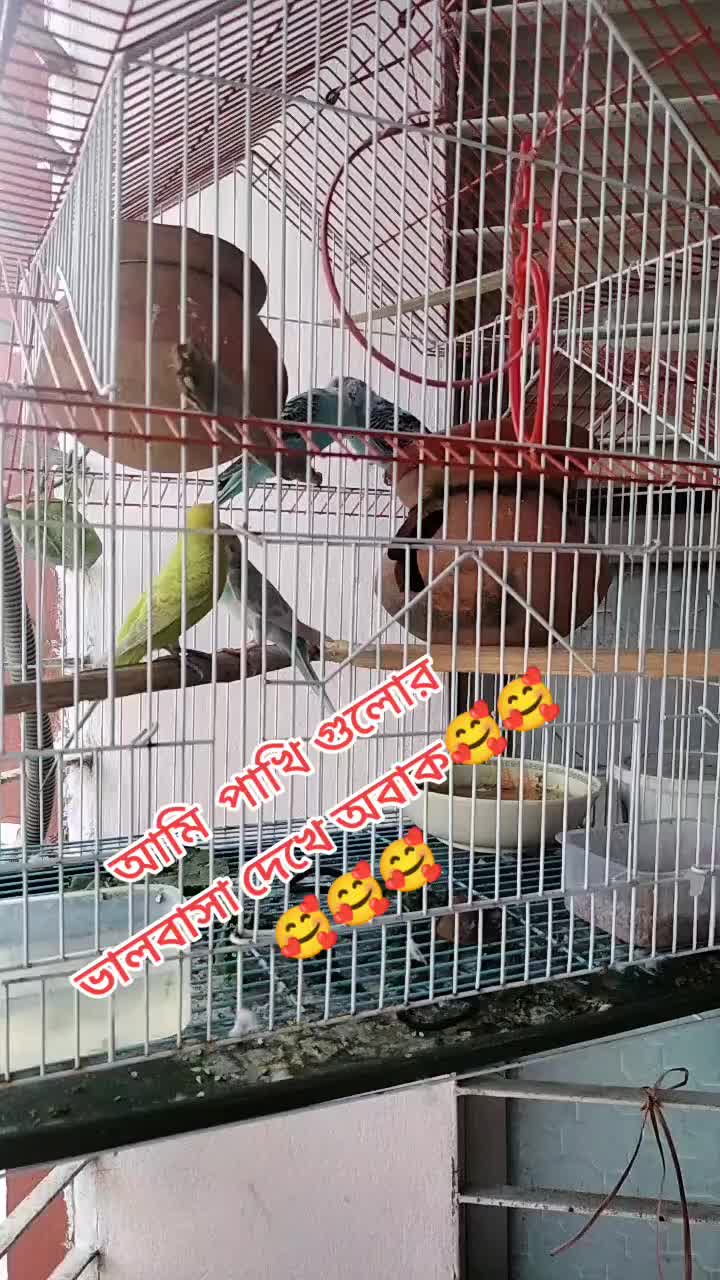@❤️❤️ফারজানা ইতি❤️❤️