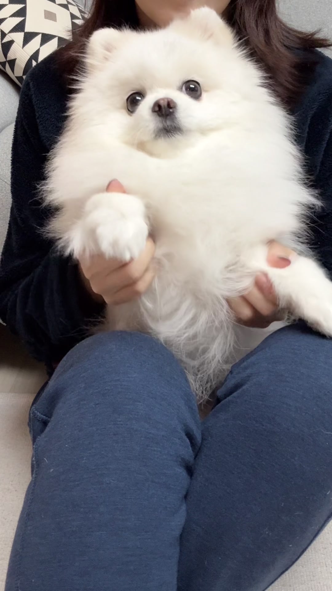 @권하리