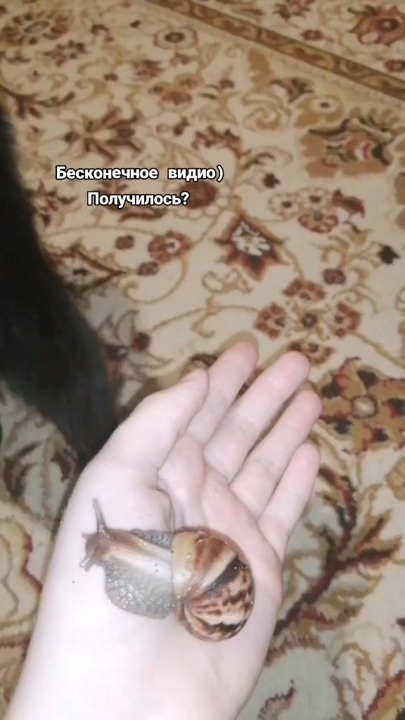 @Улиточки🐌💞