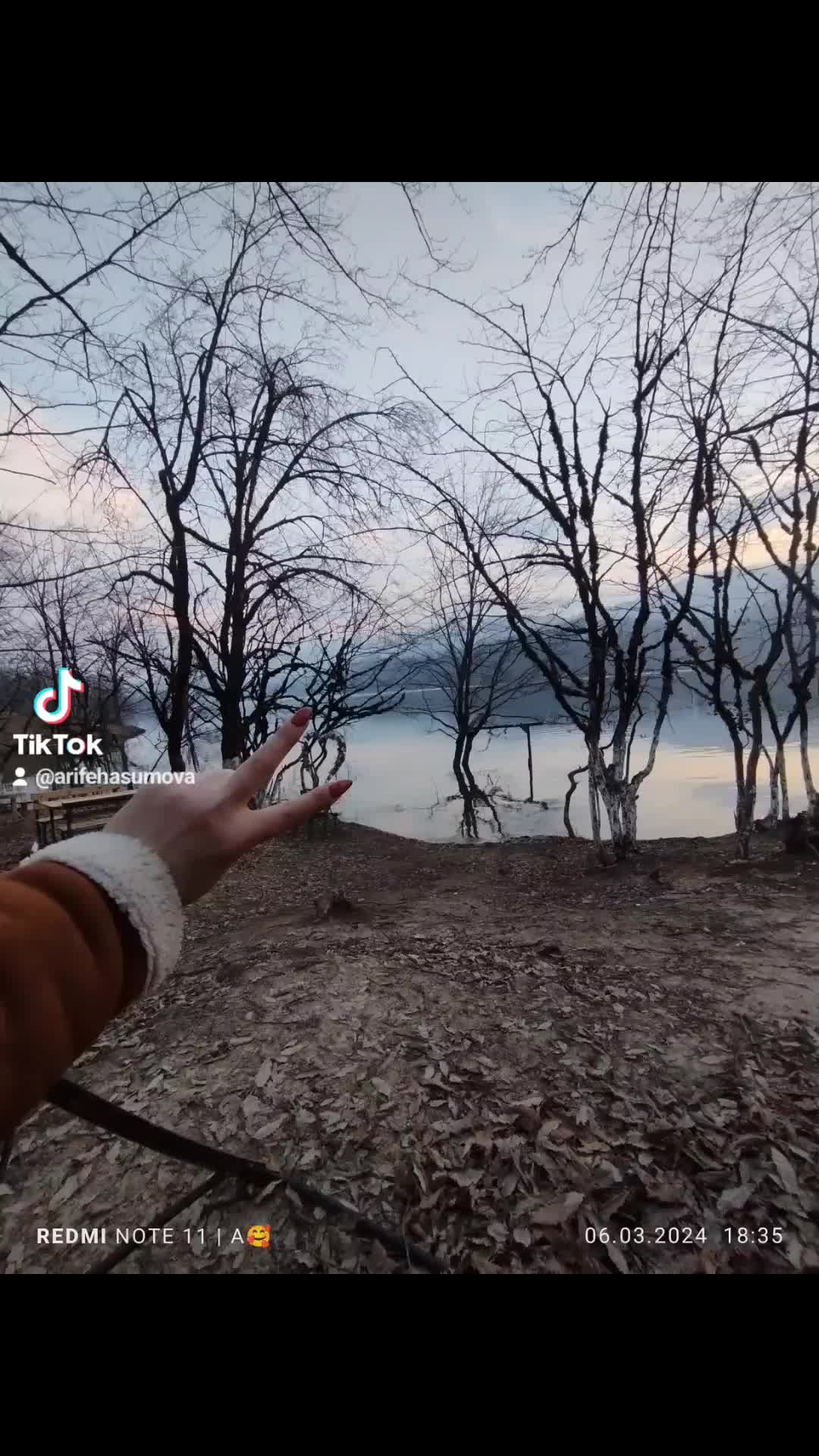 @arife