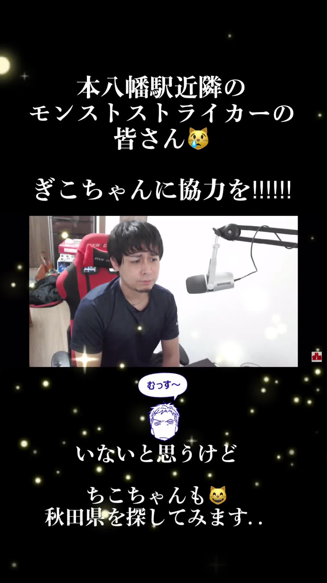 @ちこちゃん😸TikTok