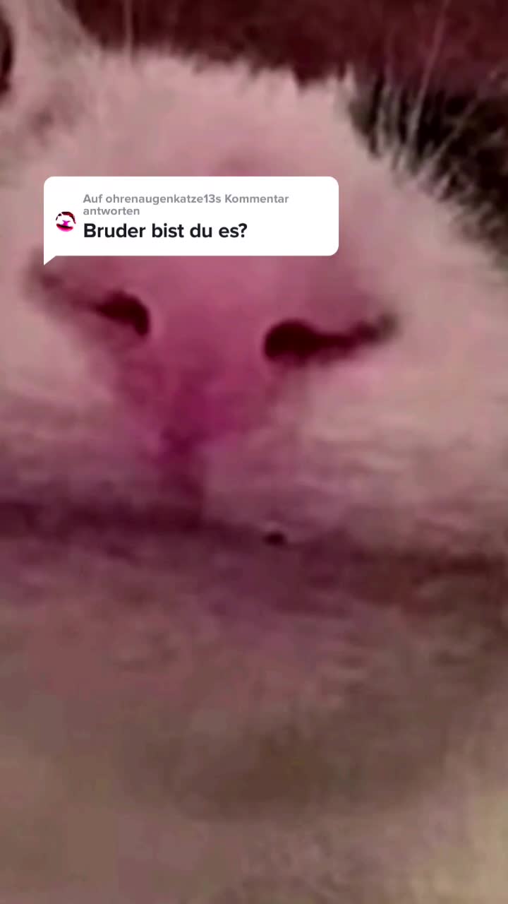 @woaaah