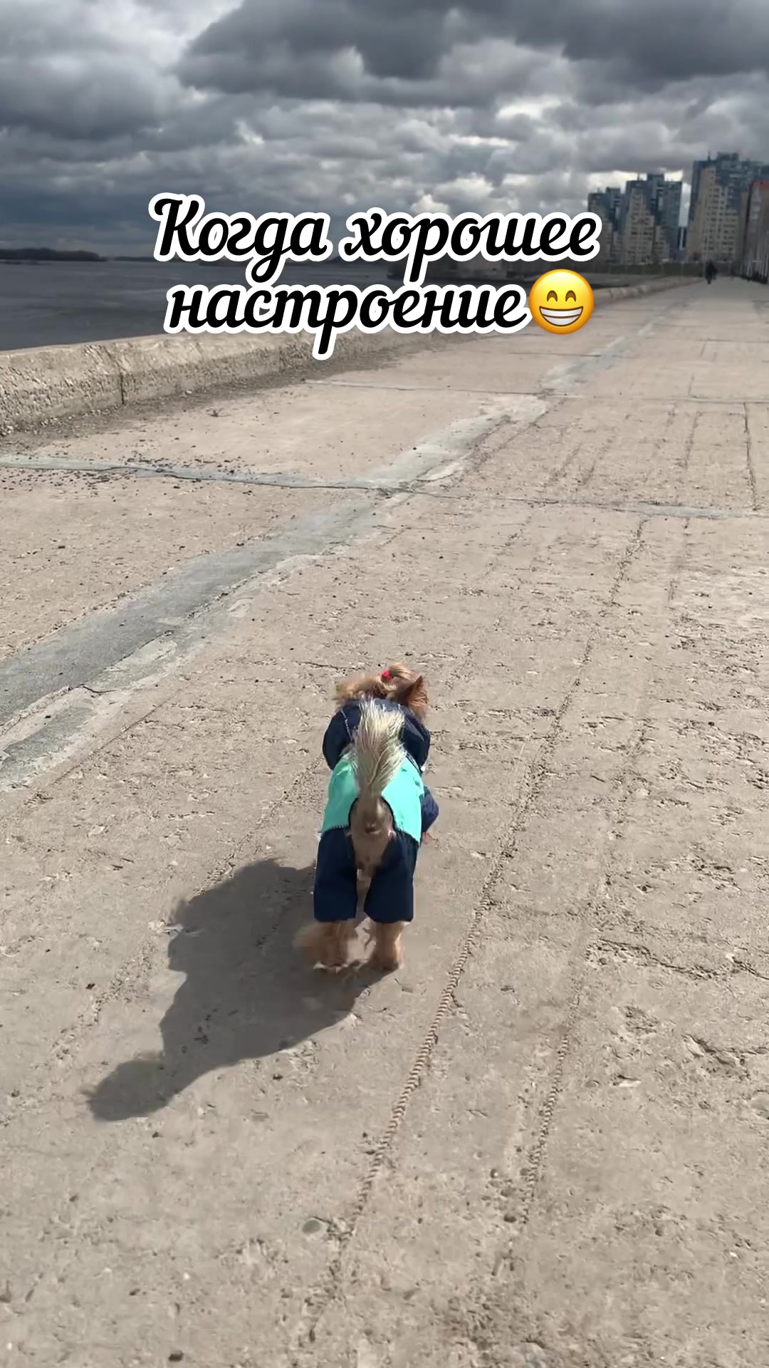 @Galliya