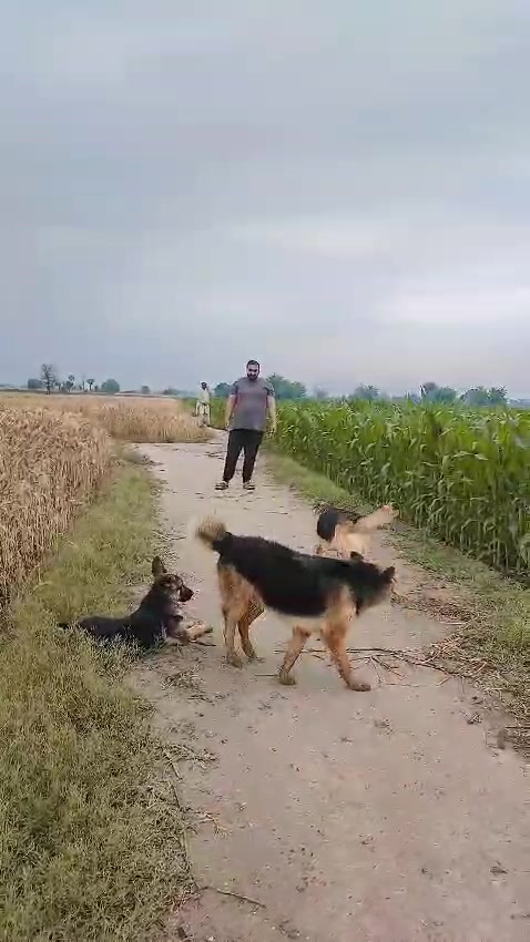 @Baba_Abbas
