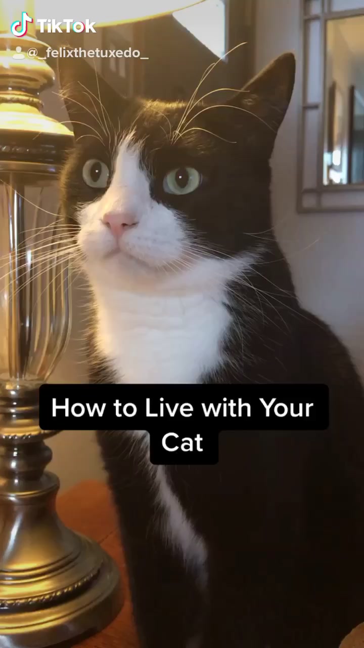 @Felix