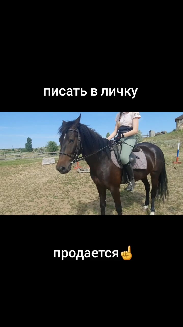 @Александр Червяков