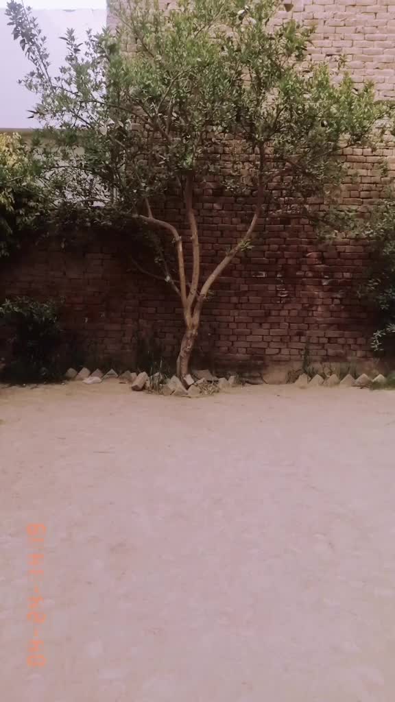 @Raju Pardesi