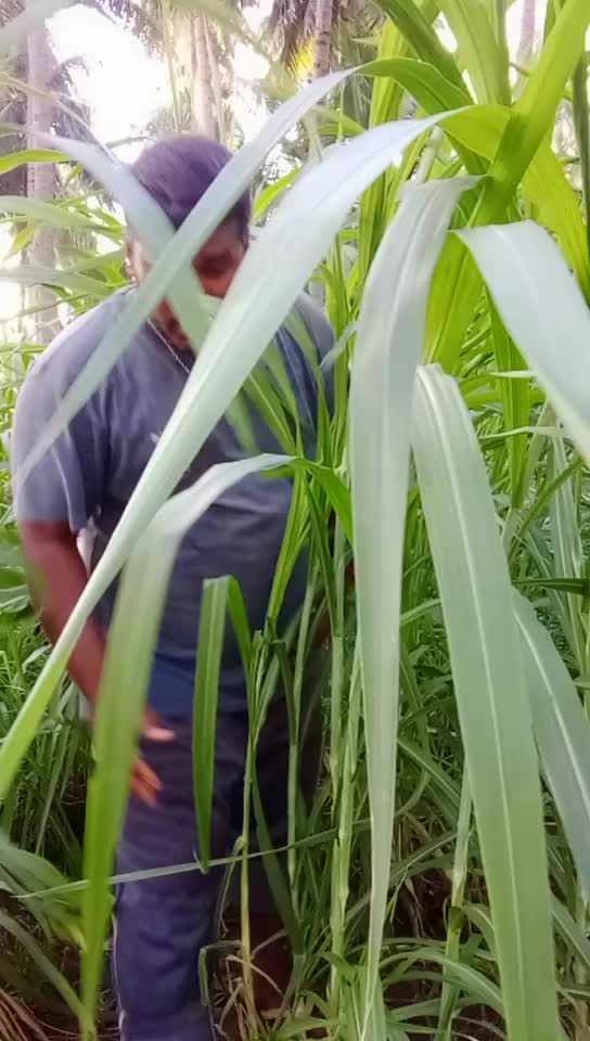 @சீனிவாசன் சேலம்