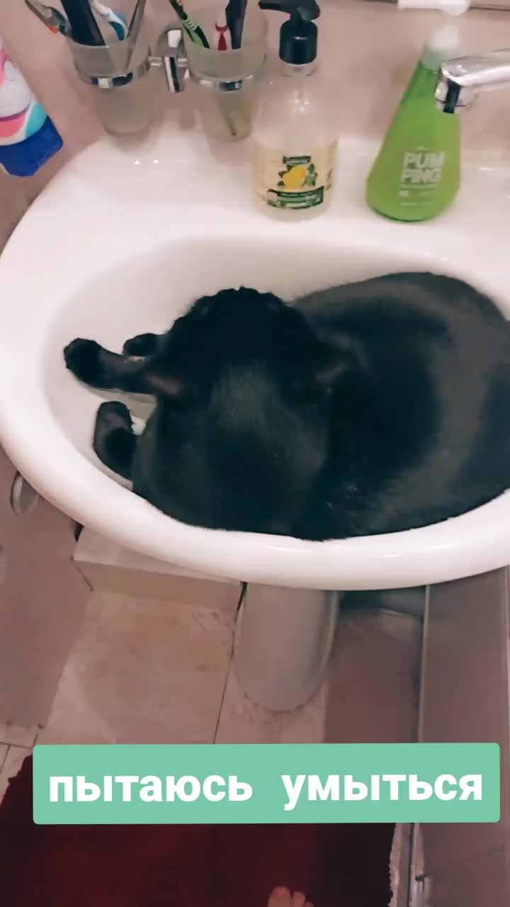 @Инзилечка