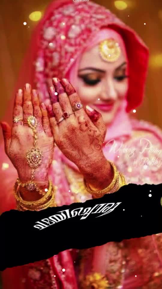 @Shafeer Shaz