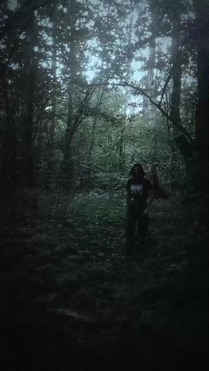 @🍄mushroom wilderness🍄