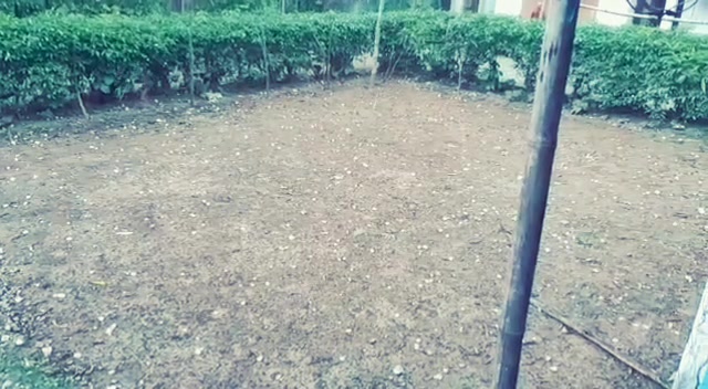 @💕_ _ _H_R_I_ _ _💕