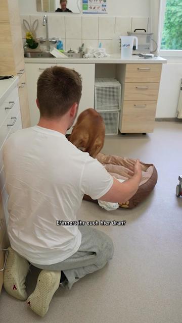 @Ridgeback Diaries
