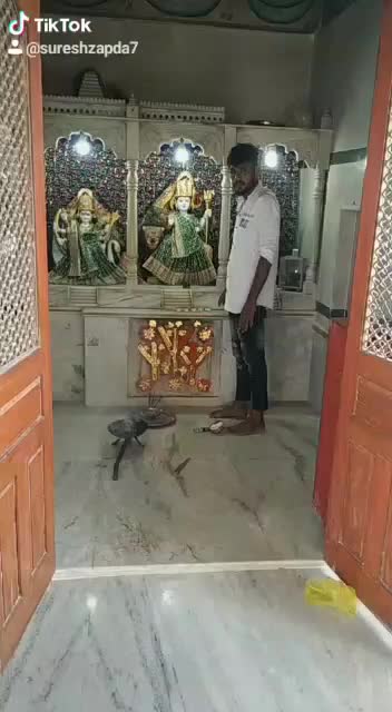 @Satish_👑_Zapda