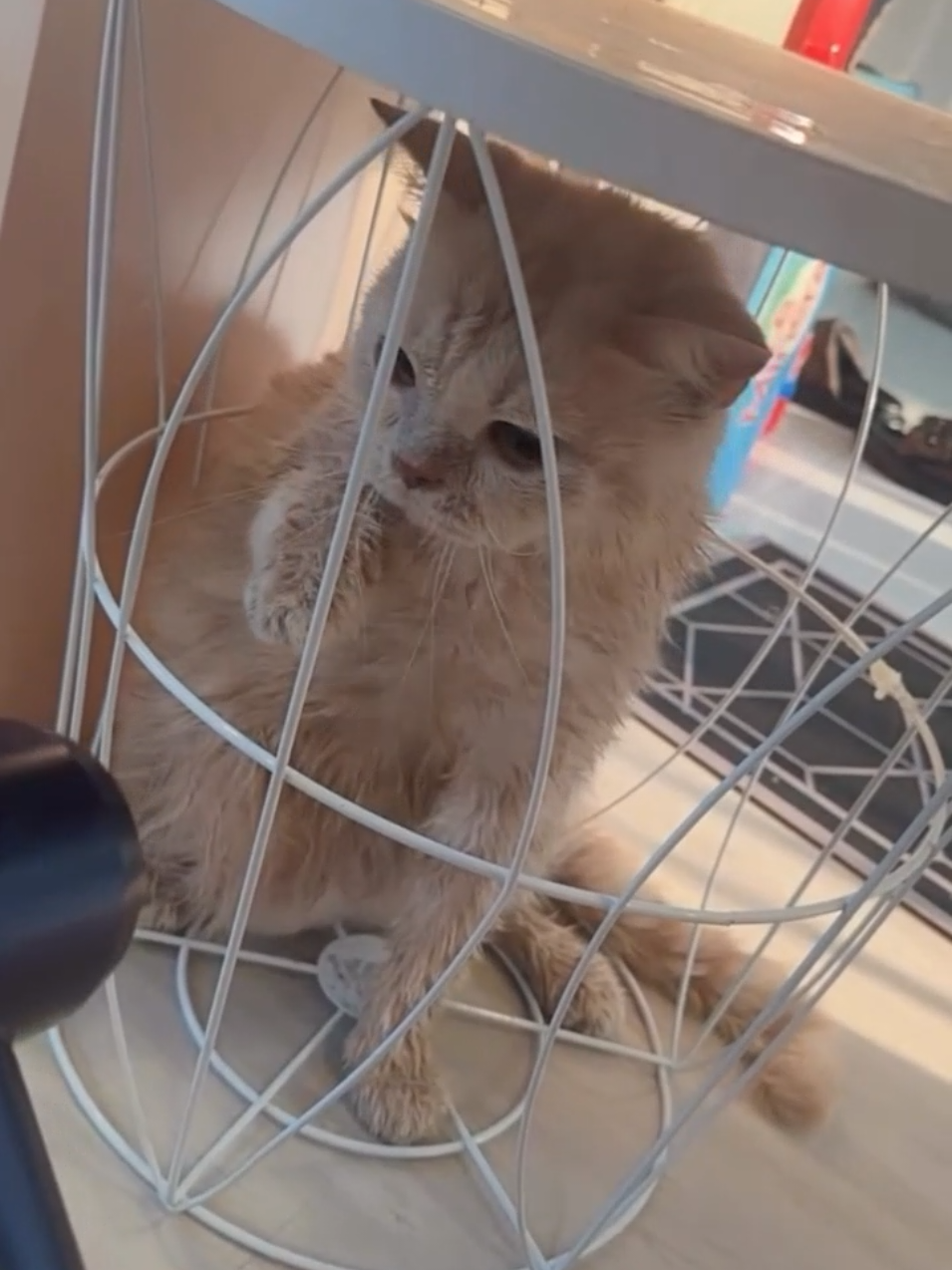 @𝐝𝐞𝐤 𝐂𝐮𝐧𝐝𝐚ᥫ᭡.
