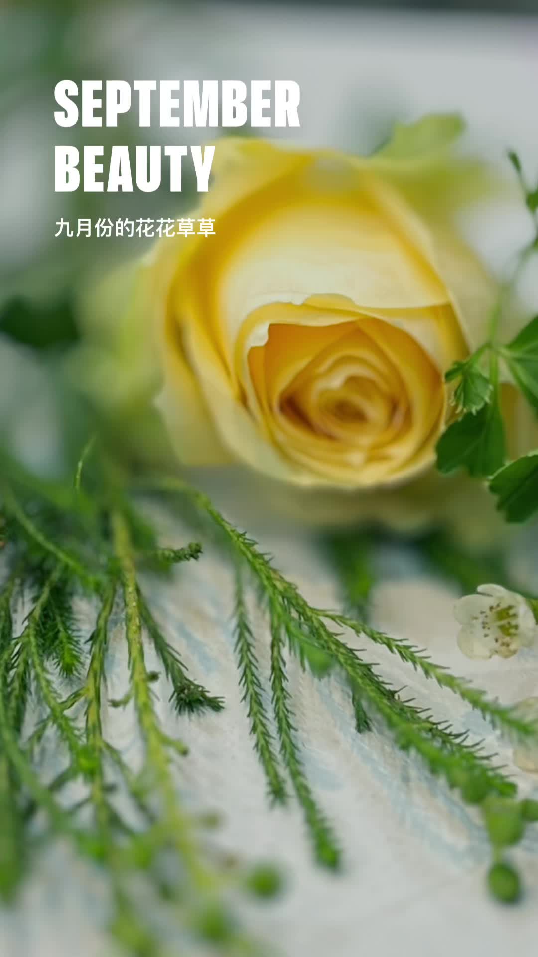 @Elaine_The Flower Lady