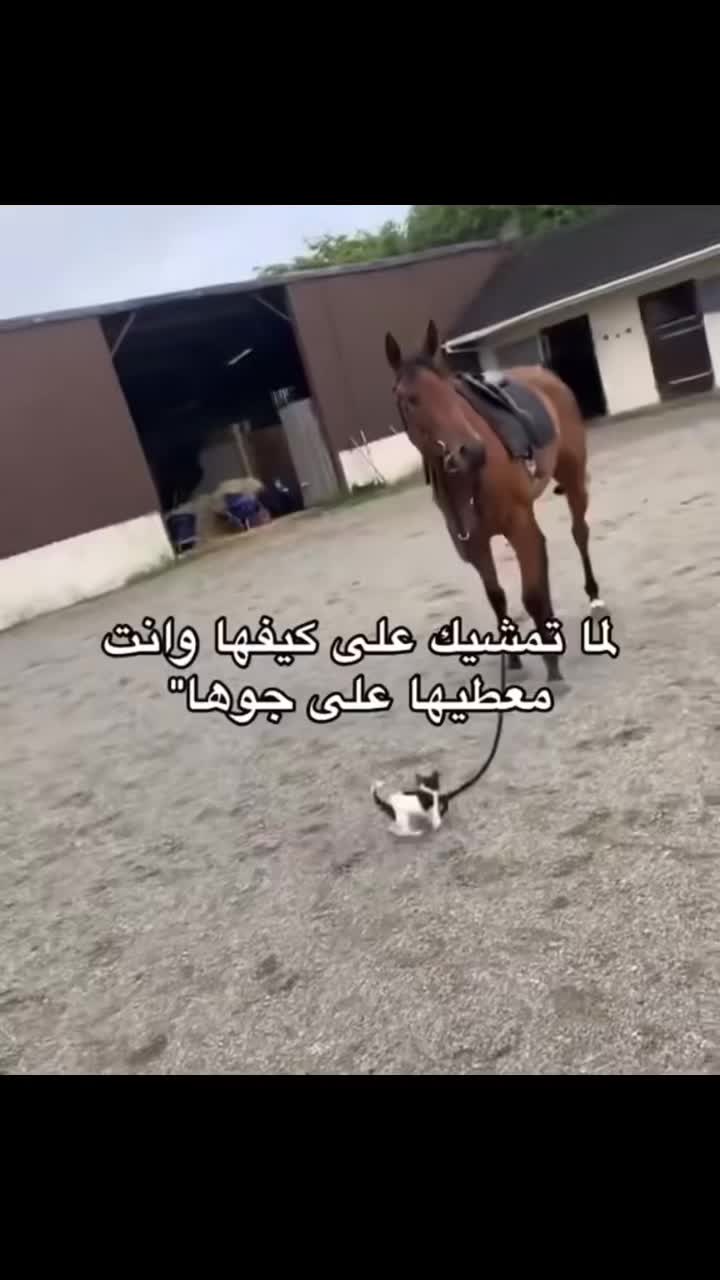 @غلا الدوسري