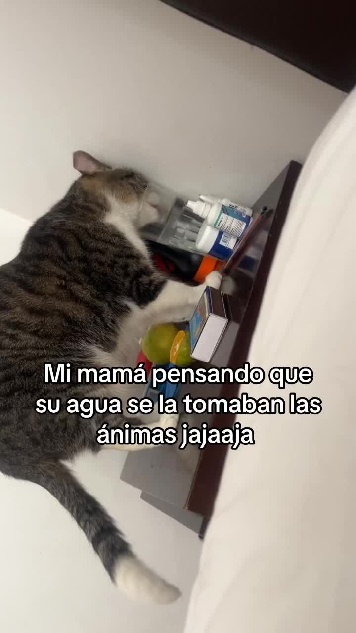 @Laura blanco