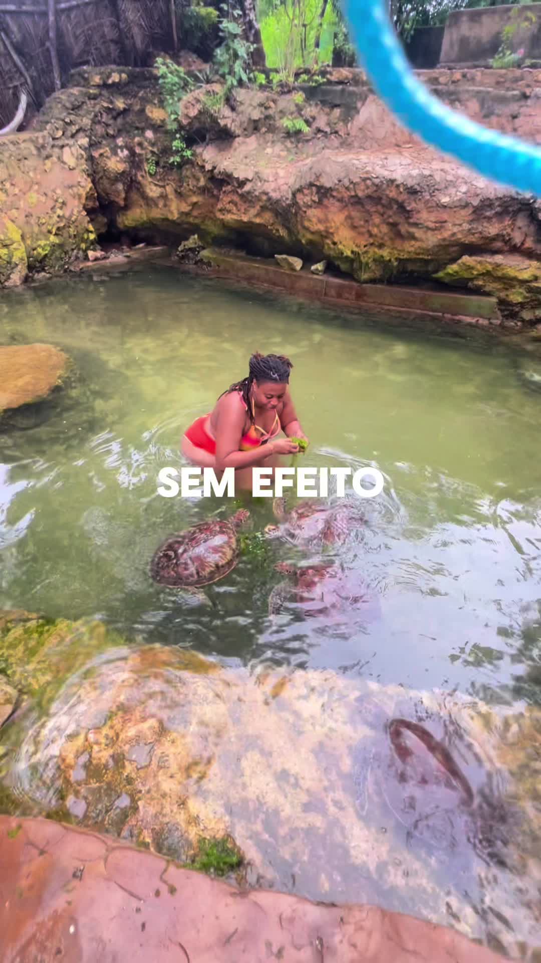 @Rosita Robertson