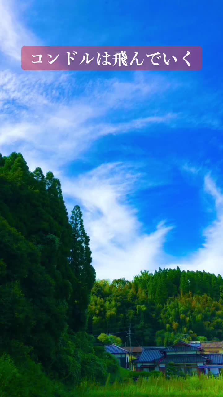 @ナツロキ🎶音楽と⛰️風景と😃😃一緒に