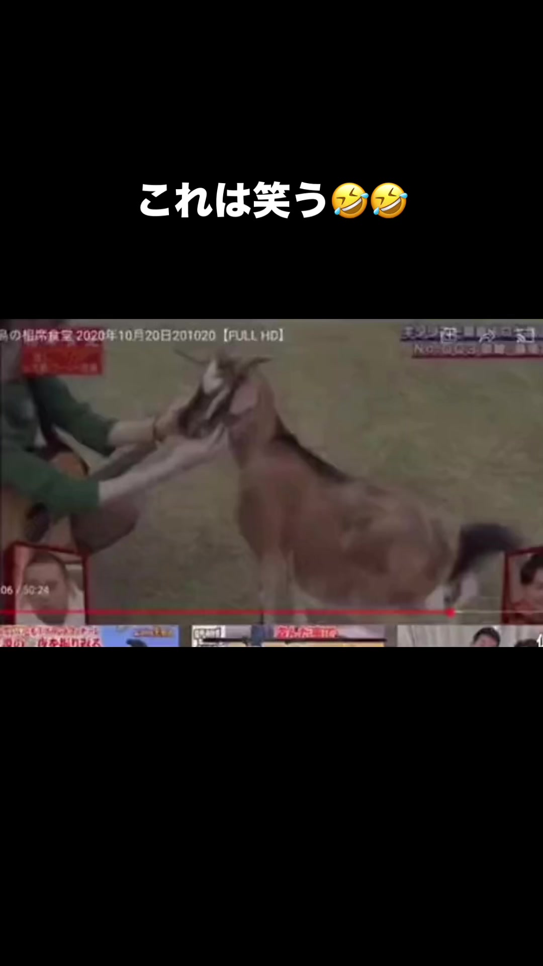@おもしろ動画