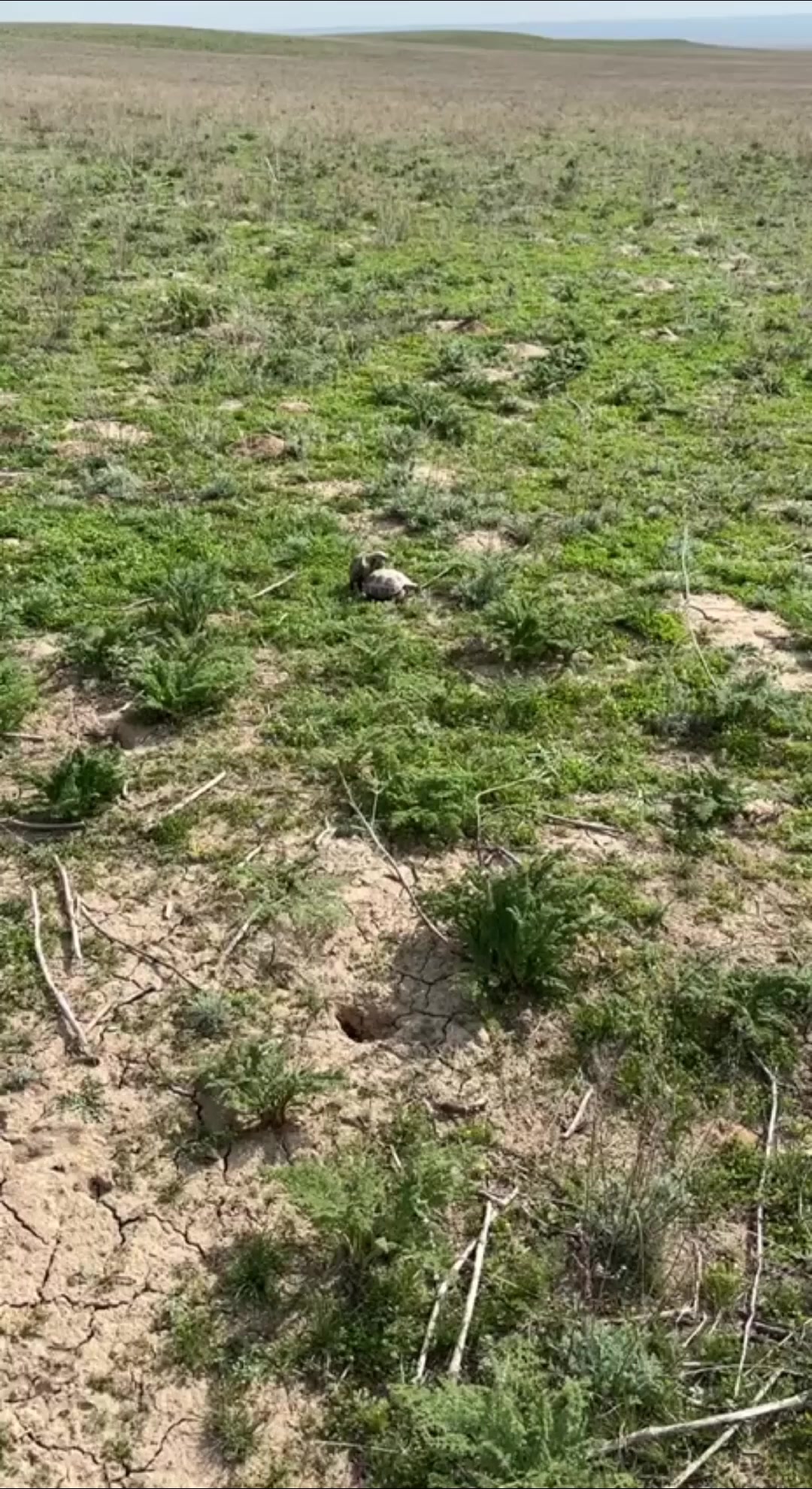 @Димос Клёвый