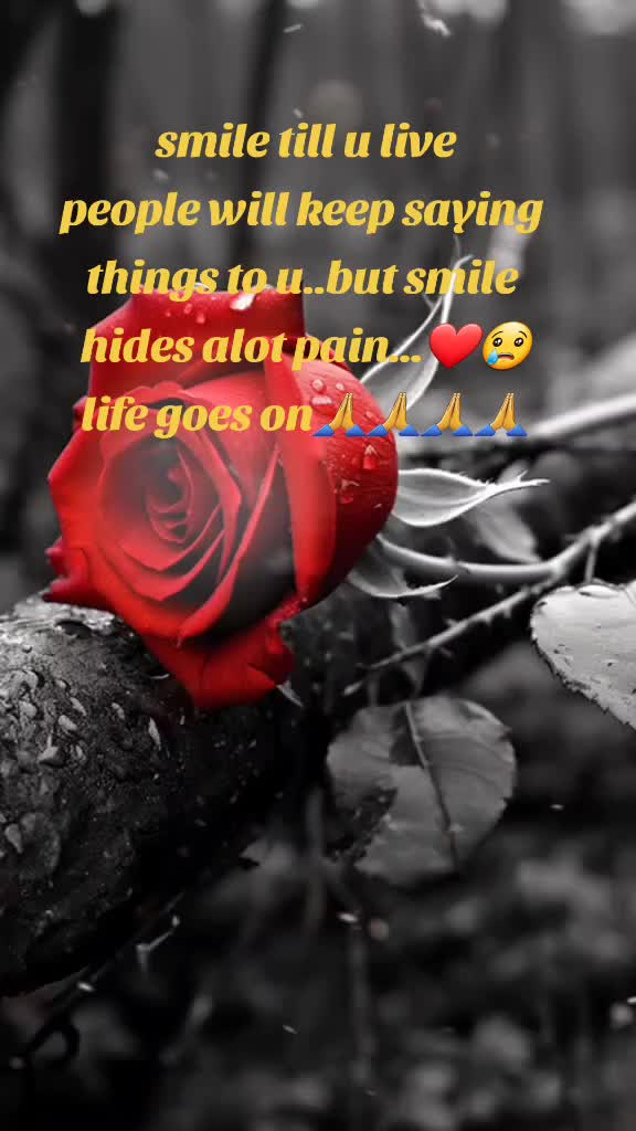 @🦋🌹rosedeo🌹🦋