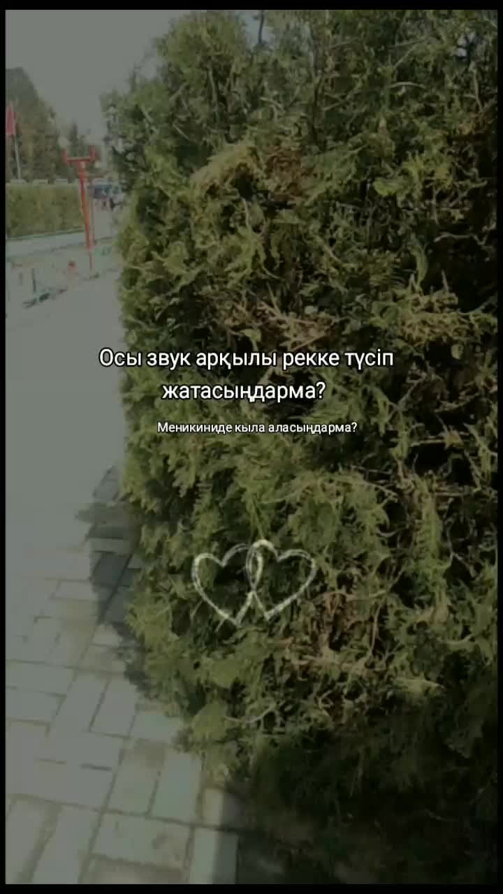 @бабочка 🦋 букеты